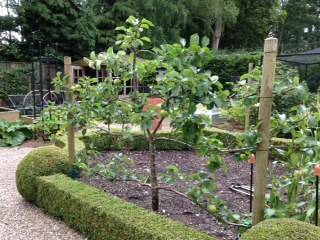 espalier 2014